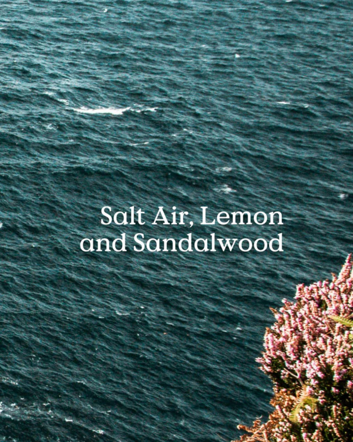 Classic Sea Diffuser