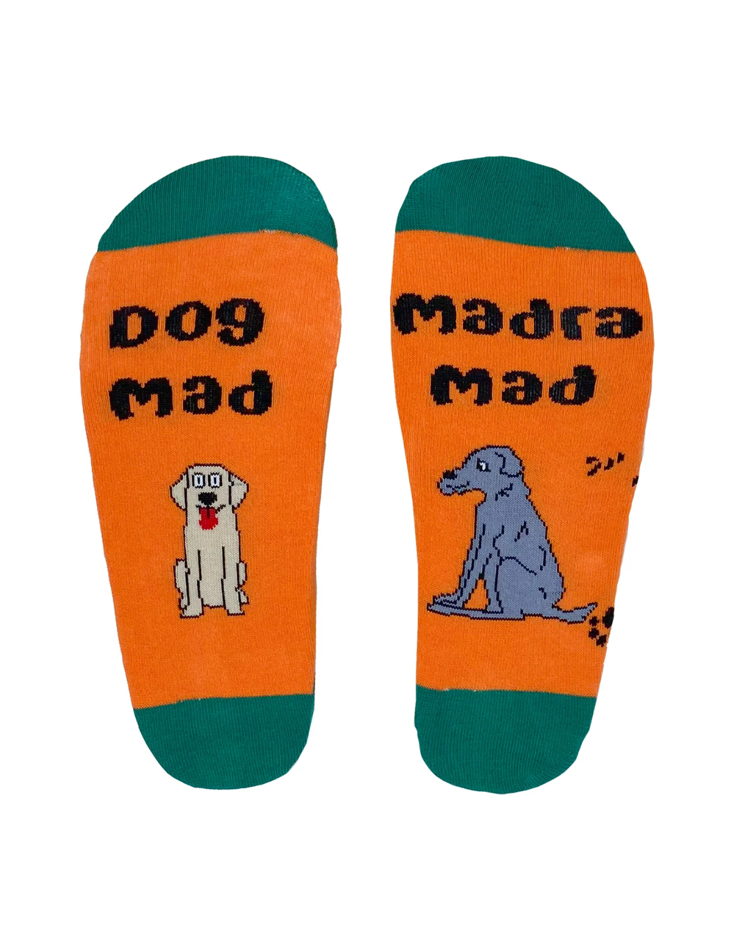 Dog Mad Socks in Orange8