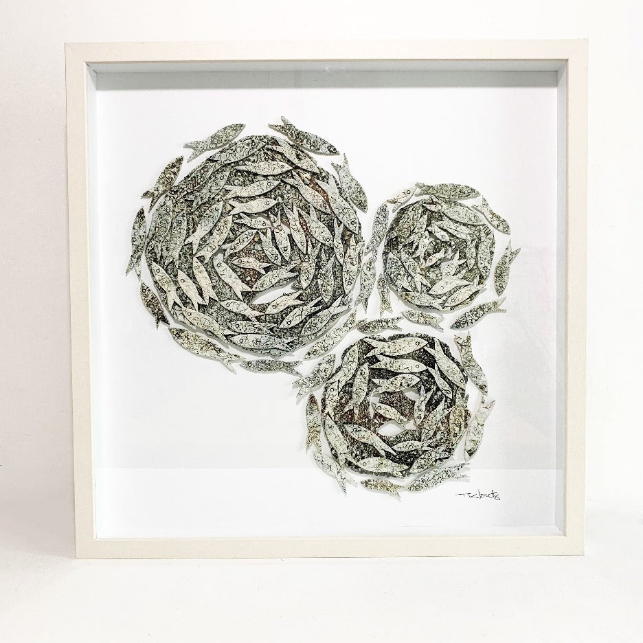 50 X 50 White Fish Frame