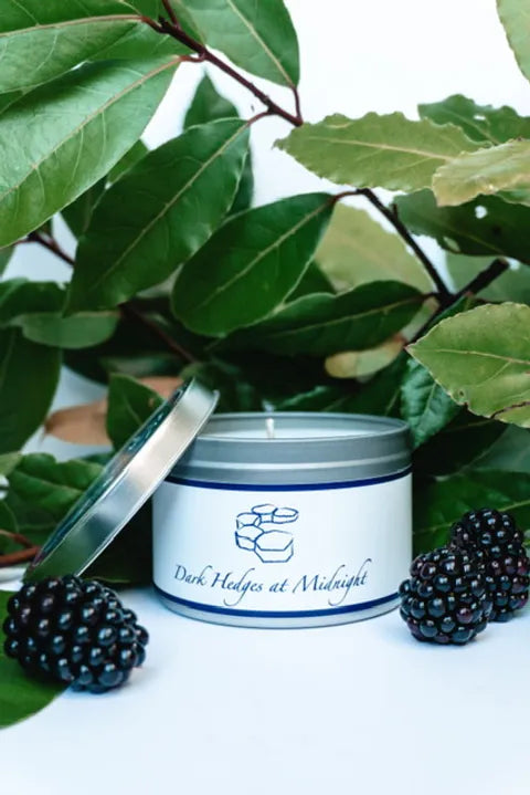 Dark Hedges at Midnight Candle