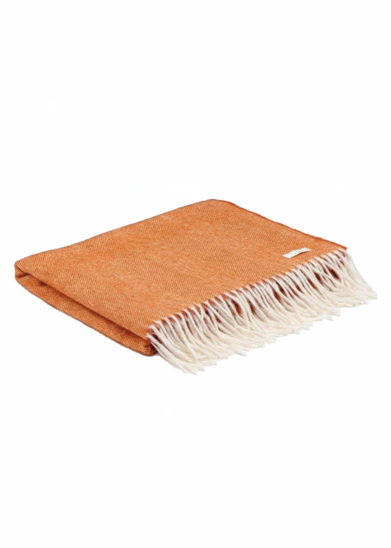 Pashmina In Clementine