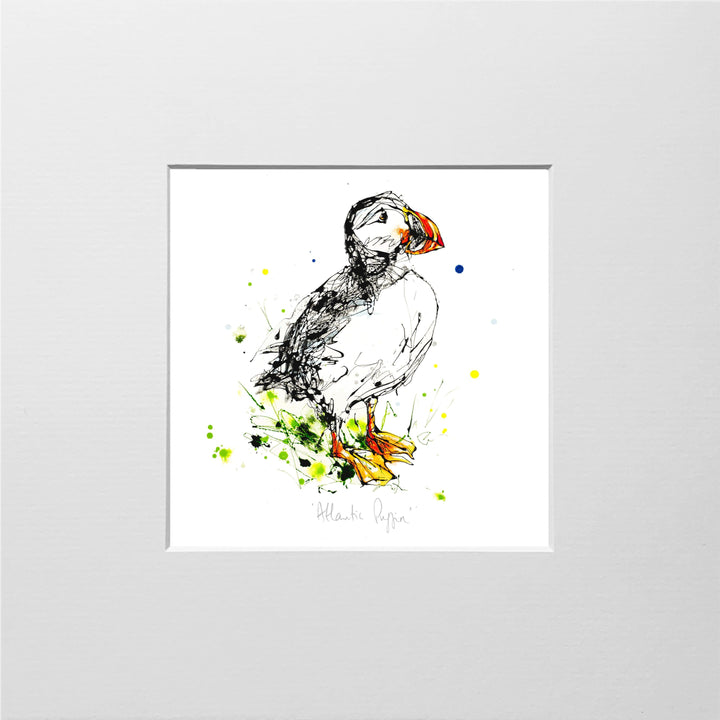 Mini Mounted Atlantic Puffin