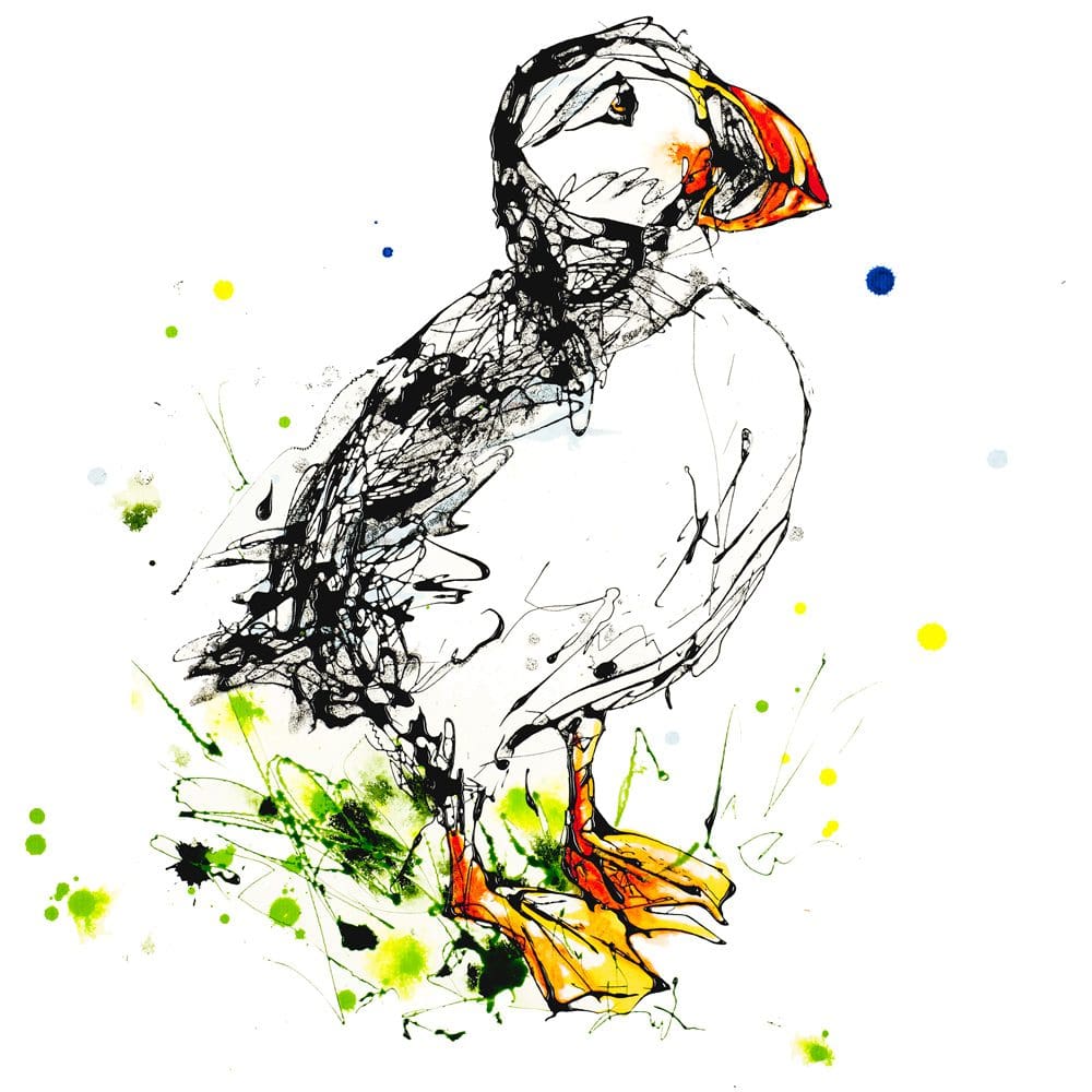 Atlantic Puffin 30cm Print