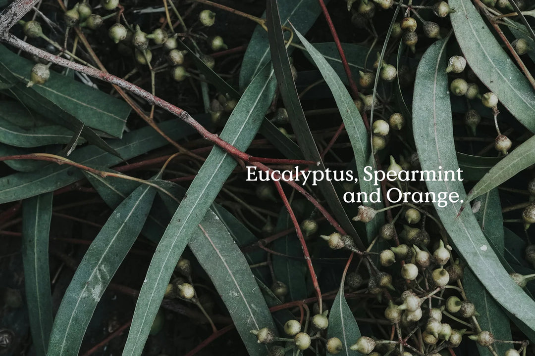 All Is Calm Wax Melts