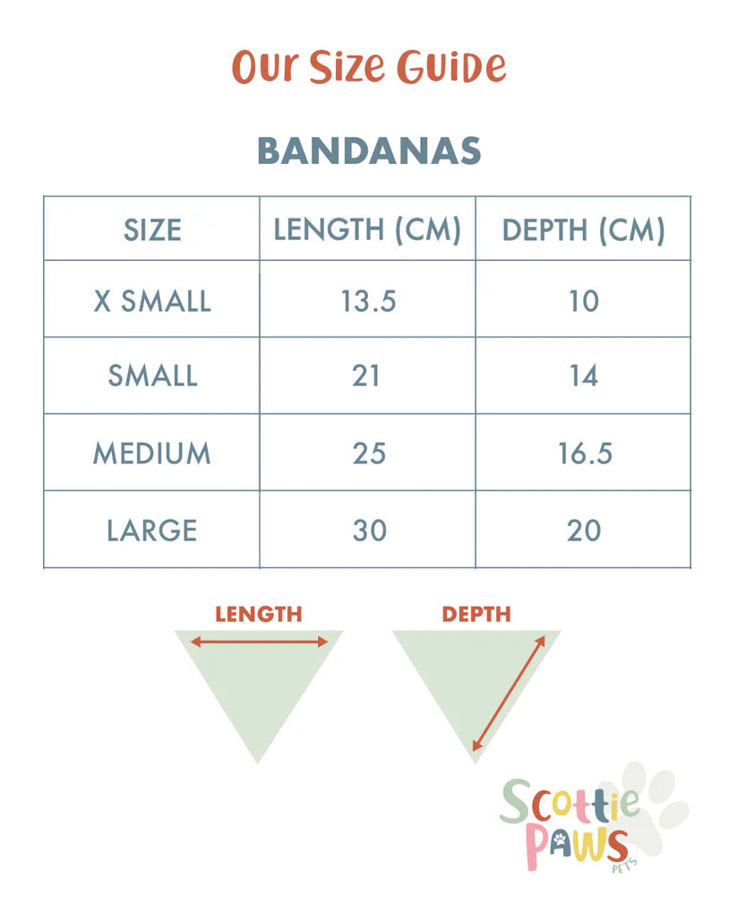 North Coast - Bandana