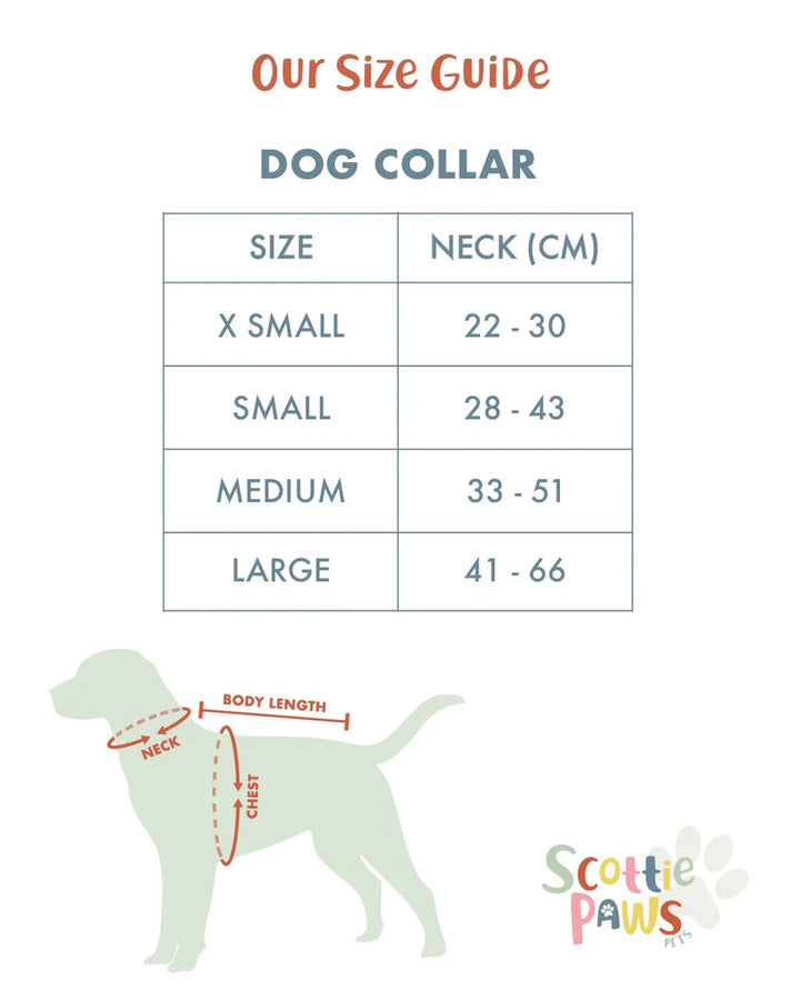 North Coast - Dog Collar