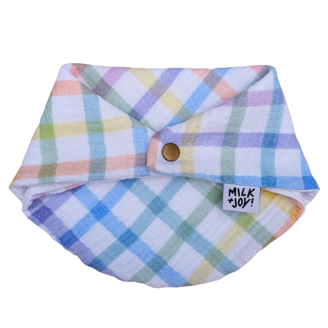 Rainbow Check Reversible Muslin Bib