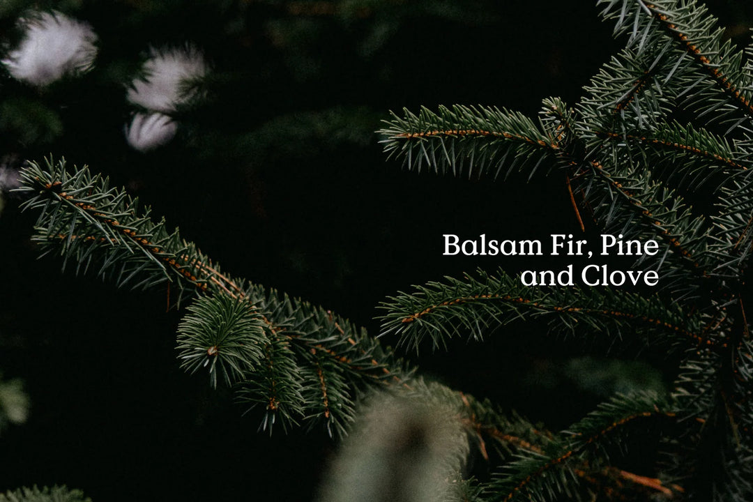 Classic Fir Diffuser