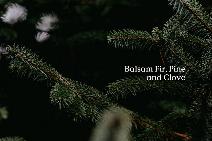 Classic Fir Diffuser