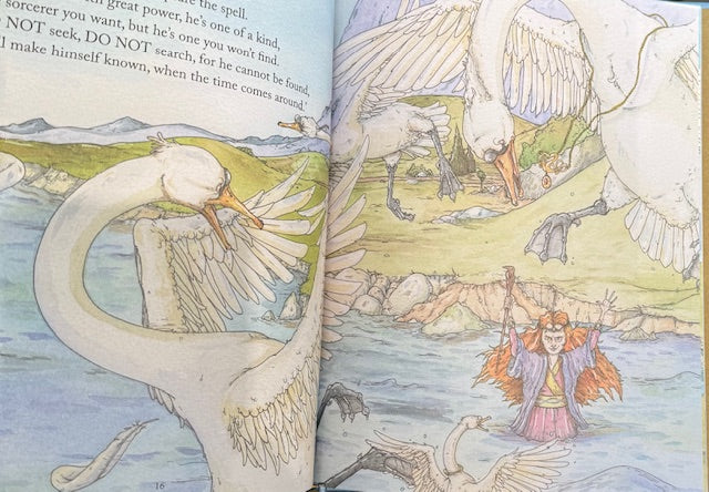 Children Of Lir Hardback Book