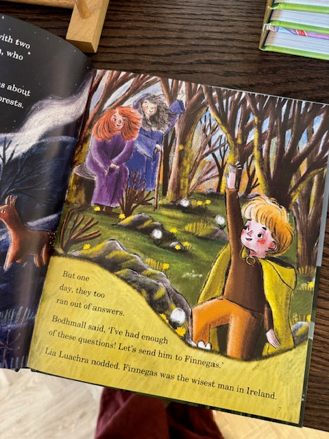 The Salmon Of Knowledge Book