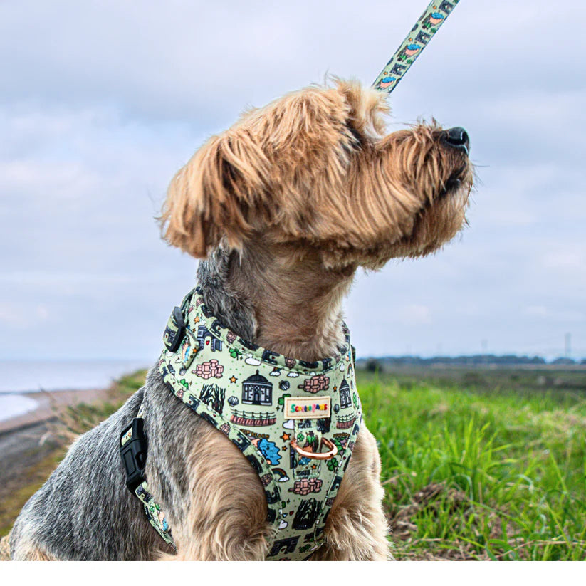 North Coast - Dog Harness